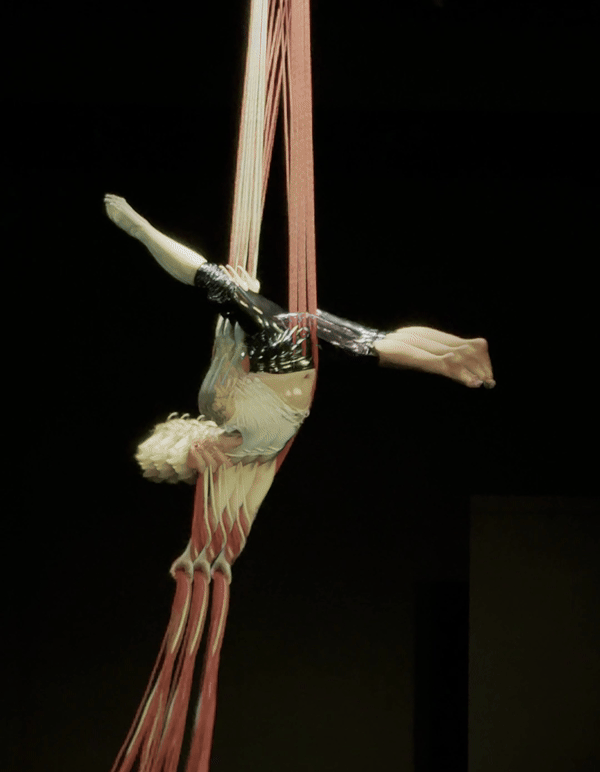 handstand_trails
